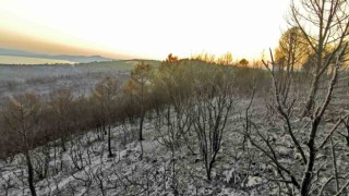 İzmirdeki orman yangınlarında soğutma çalışmaları sürüyor