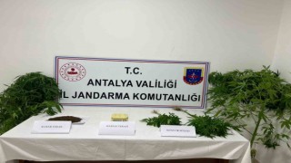 Jandarma uyuşturucu tacirlerine göz açtırmıyor