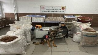 Jandarmadan kaçak sigara operasyonu