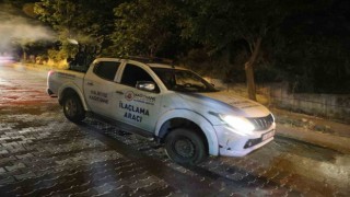 Kağıthanede haşerelere karşı ilaçlama çalışmaları sürüyor