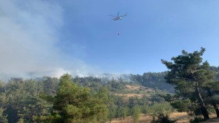 Kahramanmaraşta orman yangınına müdahale sürüyor