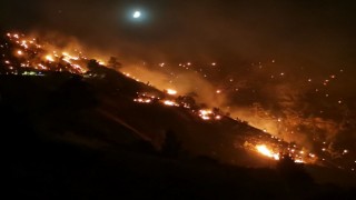 Kahramanmaraşta orman yangınına müdahale sürüyor
