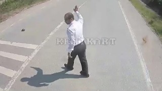 Kaplumbağanın ezilmemesi için araçları durduran şoför hareketiyle takdir topladı
