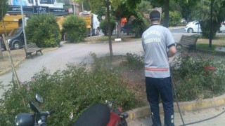 Karesi de ilaçlama 7/24 sürüyor