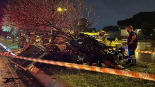 Kartalda ağaca çarpan araç ikiye bölündü: 1 ölü, 1 yaralı