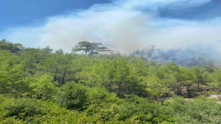 Kaştaki orman yangını havadan ve karadan müdahaleyle kontrol altına alındı