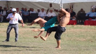 Kavakta nefes kesen güreş festivali ve yaz konseri