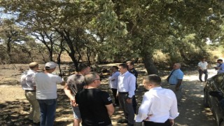 Kaymakam Memiş, 33 koyunun telef olduğu ağılda inceleme yaptı