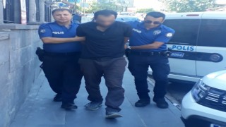 Kedileri bıçaklayarak öldüren şahıs tutuklandı