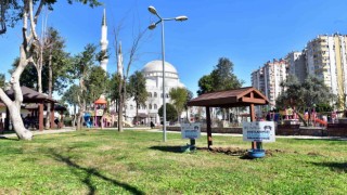 Kepez, sıcak havalarda can dostları unutmadı