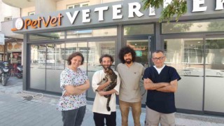 Keşanda kayıp kediyi bulan veteriner 500 dolarlık ödülü derneğe bağışladı