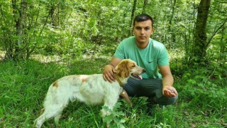 Kilosu iki bin Euroya satılan trüf mantarını radar köpekler buluyor