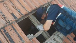 Kiremit altındaki gizli bölmede esrar ve kenevir çıktı