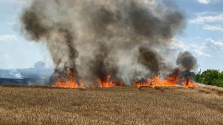Kırklarelide 20 günde yaklaşık 500 dönüm buğday tarlası yandı