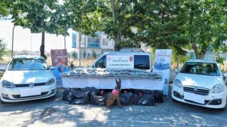 Kırklarelinde uluslararası uyuşturucu operasyonu: 101 kilogram skunk ele geçirildi