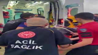 Kocaelide kayıp yaşlı adam ormanlık alanda bulundu