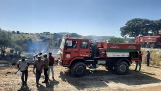 Koçarlıda zirai alan ve orman yangını