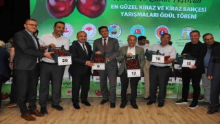 Konyada 9. Akşehir Kirazı Kültür ve Sanat Festivali yapıldı