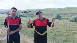 Kuran kursu bahçesine giren yılanı itfaiye ekipleri yakaladı