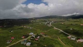 Kurban Bayramı tatilinde Haçka Yaylasına ziyaretçi akını