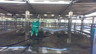 Kurban satış yerleri kaldırıldı