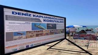 Kuşadası Belediyesinden Caretta Caretta yuvaları için bir önlem daha