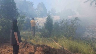 Kütahyada çıkan orman yangını kontrol altına alındı