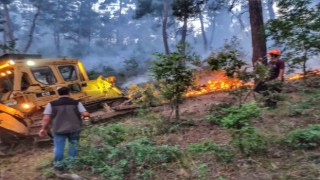 Kütahyadaki orman yangını 9 saat sonra kontrol altına alındı