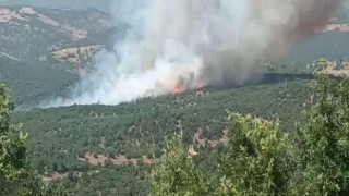 Kütahyadaki orman yangını söndürülmeye çalışılıyor