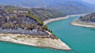 Manavgat orman yangınında zarar gören bölgelere 5 milyon fidan ekildi, 153 ton tohum toprakla buluşturuldu