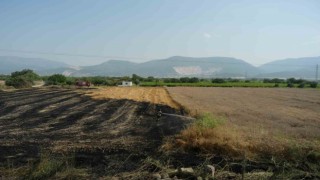 Manisada ekin yangını başka tarlalara sıçramadan söndürüldü