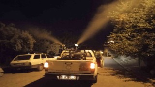 Manisada haşerelere karşı ilaçlama devam ediyor