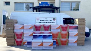 Mersinde 1 milyon adet makaron ele geçirildi
