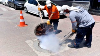 Mersinde 160 bin noktada düzenli ilaçlama yapılıyor