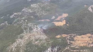 Milas orman yangını kısmen kontrol altında