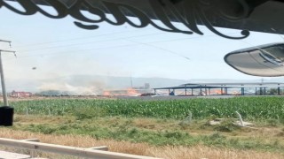 Oduncuda yangın çıktı