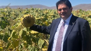 Oral; Hasat çiftçimizin bayramıdır