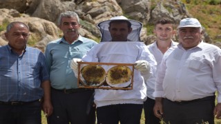 Organik bal üretimi için deneme amaçlı kovan dağıtıldı