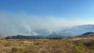 Orman yangını 18 saattir kontrol altına alınmaya çalışılıyor