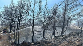 jandarma orman yangınlarını söndürmek için destek veriyor