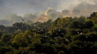 Fotoğrafçı gözüyle orman yangınları