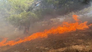 Ormana sıçrayan yangın 3 saatte kontrol altına alındı