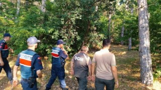 Ormanlar 7/24 gözetim altında