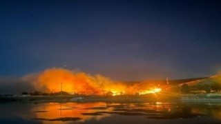 Ormanlık alanda çıkan yangın korkuttu