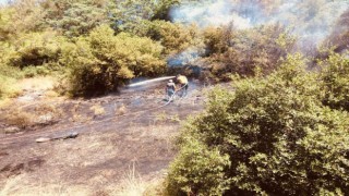 Ormanlık alanda çıkan yangın söndürüldü