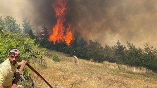 Ormanlık alanda çıkan yangına müdahale ediliyor