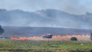 Ormanlık alandaki alevler rüzgarın etkisiyle büyüyor