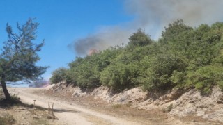 Osmaniye Hasanbeylide orman yangını