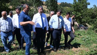 Osmaniye Valisi Yılmaz, Bahçe İlçesi'nde Çilek Hasadı Yaptı