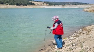Osmaniye'de Buğdaycık göleti, balıkların yaşam alanı için uygun bulundu